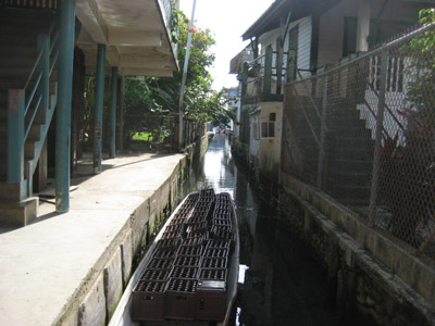 canals. Guanaja, Honduras
