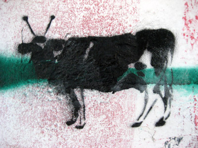 Cow Stencil Graffiti. Isla Mujeres, Mexico
