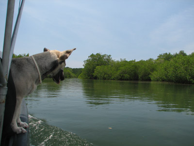 Bahia del Sol, El Salvador