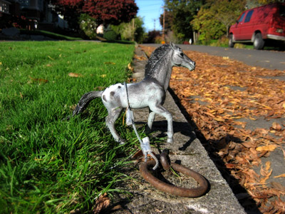 Plastic horse tied to the curb
