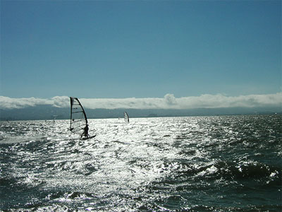 windsurfers off Coyote Point, San Francisco Bay, California