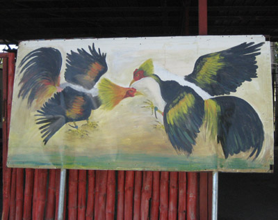 cock fight painting, Panama