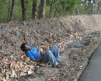 drunk in a ditch after the cock fights