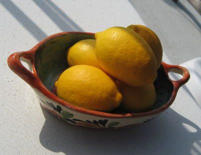 meyer lemons