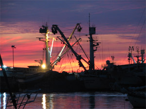 Tuna Boats in Ensenada Harbor, Baja California Norte, Mexico