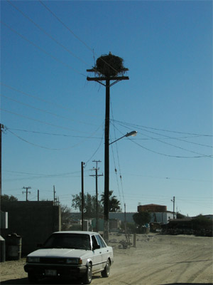 Abreojos, Baja California Sur, Mexico