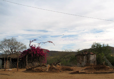 Gallina, Baja California Sur, Mexico