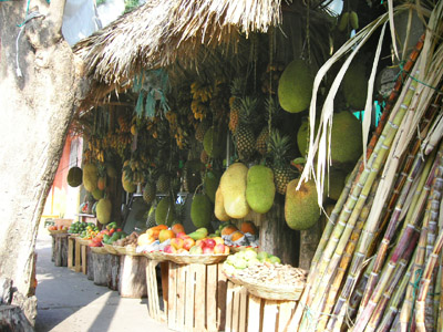 Fresh fruit at the Juice Bar, Huatulco, Oaxaca, Mexico