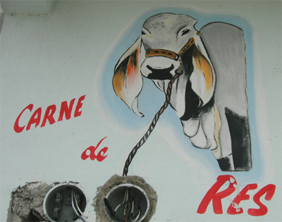 Hand Painted sign. Carne de Res. Tulum, Quintana Roo, Mexico