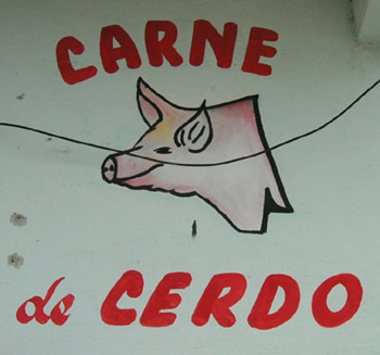 Hand Painted sign, Carne de Cedro, Valladolid, Yucatan, Mexico