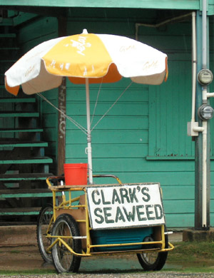 Hand Painted Sign. Clarks Seaweed. Dangriga Town, Belize