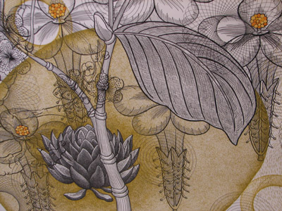 Nancy Blum Botanical Drawing